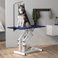thumbnail image 2 of PawHut Height Adjustable Pet Grooming Table for Dogs Blue, 2 of 10