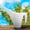 White#2, variant on Watering Can for Plants with Long Spout | 1.8 Liter Large Capacity Plastic Watering Jug | Indoor & Outdoor Garden Watering Tool for Flowers, Succulents, and Houseplants
