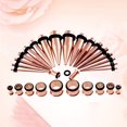 thumbnail image 1 of 36Pcs Ear Stretching Tapers Kit Stainless Steel Ear Gauges Body Piercing Jewelry, 1 of 8