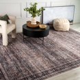 thumbnail image 3 of Rug Branch Collection Emir Tapis traditionnel oriental déperlant hydrofuge, 3 of 12