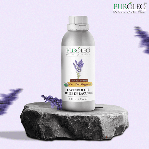 PUROLEO Organic Certified USDA Lavender Essential Oil 8 Fl Oz/236 ML (Packed in Canada) 100% Pure & Natural, Therapeutic Grade, Calming & Relaxing Aroma for Aromatherapy, Massage, Diffuser