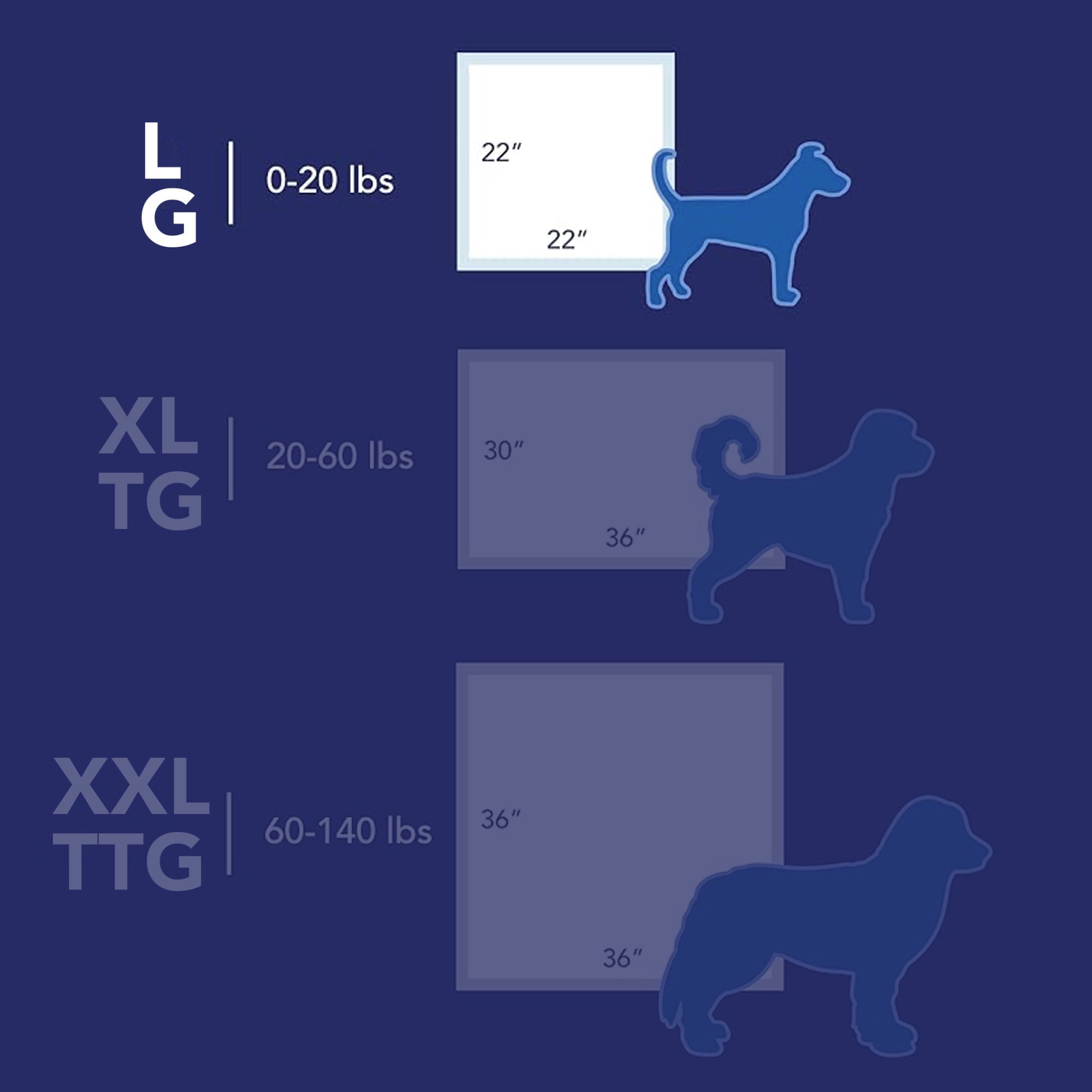 Scott Pet Guard Tapis de Propreté pour Chiens - d'Entraînement Chiots, Moyens & Grands jusqu'à 12 Heures d'Absorption et Contrôle des Odeurs Facilement Jetables Grande Taille 22 Pouces x Lot 100