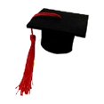 thumbnail image 1 of Sokhug 10 Pack Mini Graduation Caps with Tassels Grad Hat Cake Wine Bottle Toppers for Graduation Party Decorations, 1 of 8