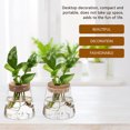 thumbnail image 4 of Miangastore Plant Terrarium Glass Cork 3Pcs Home Decoration 3.7X3.4X2.6In, 4 of 9