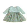 thumbnail image 1 of Fille Enfant en Bas Âge Robe d'Automne à Manches Longues Broderie Florale Dentelle Robe Enfants Robe en Tulle, 1 of 6