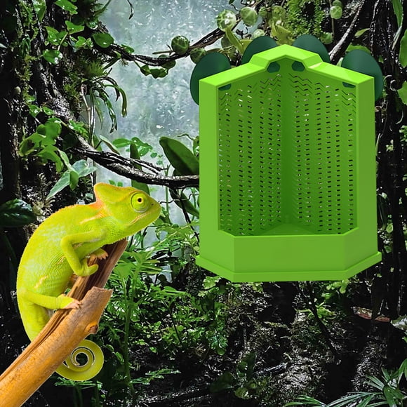 Amzcrzy A Feeder Lizard Crickets Feeder Suction Cups Can Be Hung To Place Reptile Geckos Feeders and Suction Cups Dorm Room Essentials Home Improvement Birthday Gifts for Men Home Organization