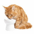 thumbnail image 3 of One Paw , Bol Surélevé pour Chat, Céramique, Blanc, 150 ml, 3 of 4