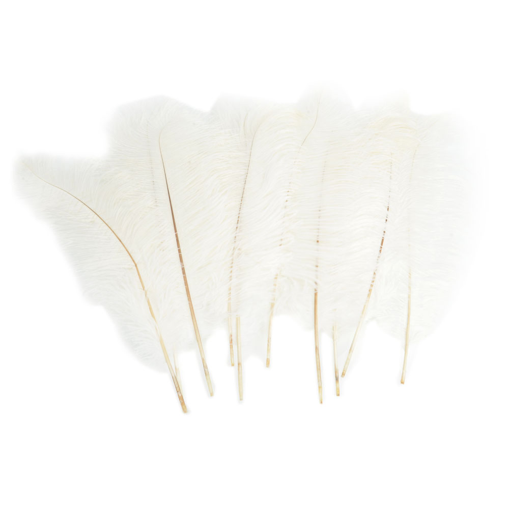 Ktaxon 100PCS Nature Ostrich Feathers Home Party Decor Color White