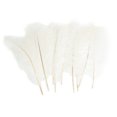 thumbnail image 1 of Ktaxon 100PCS Nature Ostrich Feathers Home Party Decor Color White, 1 of 5