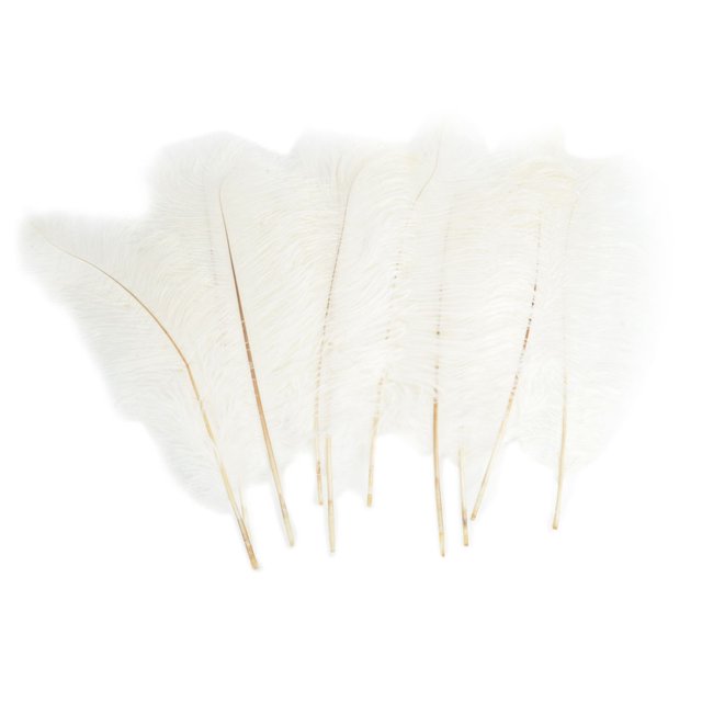 Ktaxon 100PCS Nature Ostrich Feathers Home Party Decor Color White