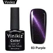 EARKITY 9D Cat Eye Gel Nail Polish with Magnet Galaxy Cateye Chameleon Nail Gel Polish Manicure Soak Off UV Gel DIY Salon Home 8ml