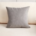 thumbnail image 1 of Birdeem 16X16 Pillow Inserts- Bedding Throw Pillows, Throw Pillow Inserts, Lightweight Down Alternative Polyester Pillow, Couch Cushion, Sham Stuffer, Machine Washable (Pillow Core & Pillowcase), 1 of 7