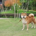 thumbnail image 1 of CBFFDC Pet Training Leash Quick Release Wear Resistant Long with Handle Swivel Clasp Design Reflective Pet Traction Leash Pet Leash, 1 of 7