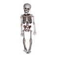 thumbnail image 2 of Boovnll Skeleton, Halloween Spooky House Dress Up Simulation Skull Skeleton Ghost Trick Props, Halloween Decorations, Halloween Skeleton, Skeleton Decor, 2 of 5