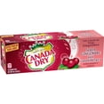 thumbnail image 2 of Canada Dry Cranberry Ginger Ale 12X355ML, 2 of 10