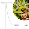 thumbnail image 2 of Dimmable Led Grow Light Plant Growing Full Spectrum Indoor Halo Ring Lamp, 2 of 4