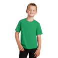 thumbnail image 1 of Port & Company T-Shirt Garçon Fan Favorite, 1 of 1