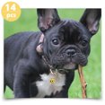 thumbnail image 3 of 14Pcs Brass Hanging Bell for Christmas and Pet Collar Accessory, 3 of 9