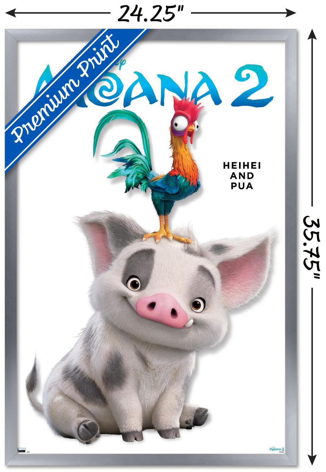 Disney Moana 2