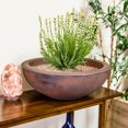 thumbnail image 2 of Sunnydaze Weather-Resistant Polyresin Double-Walled Percival Outdoor Flower Pot Planter - 20.75" - Rust - 2pk, 2 of 10