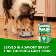 thumbnail image 2 of Iams Proactive Health Chunks in Gravy with Chicken Adult Wet Dog Food, 2 of 13