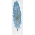 thumbnail image 1 of Plume Collection-III Peinture à l'Huile Décor Mural, 1 of 1