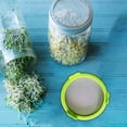 thumbnail image 4 of CJiaWei Ma Son Jar Sprouting Lid And Be An Sp Routs Sp Rout Growing Lids | Stainless Steel Screen Sp Rout Lid Microgreens Growing Kit Germination Kit For Broccoli S Eeds, 4 of 6