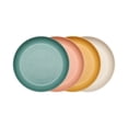 thumbnail image 1 of Plastic Dinner Plates Plate Sets 8.9-Inch Whea-T Straw Plate - Microwave And Dishwasher Safe, Durable Plastic Plate - Set Of 4, 1 of 7