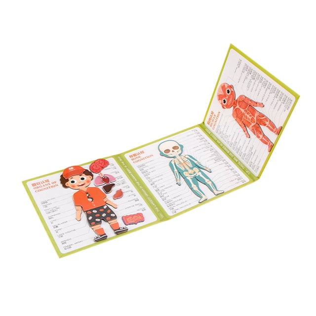 Magnetic anatomy book of human body structure