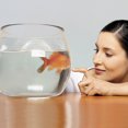 thumbnail image 2 of Shisuyan Fish Bowl Plastic Transparent Small Aquarium Small Fish Tank Fish Bowl for Betta Fish Goldfish, 2 of 9