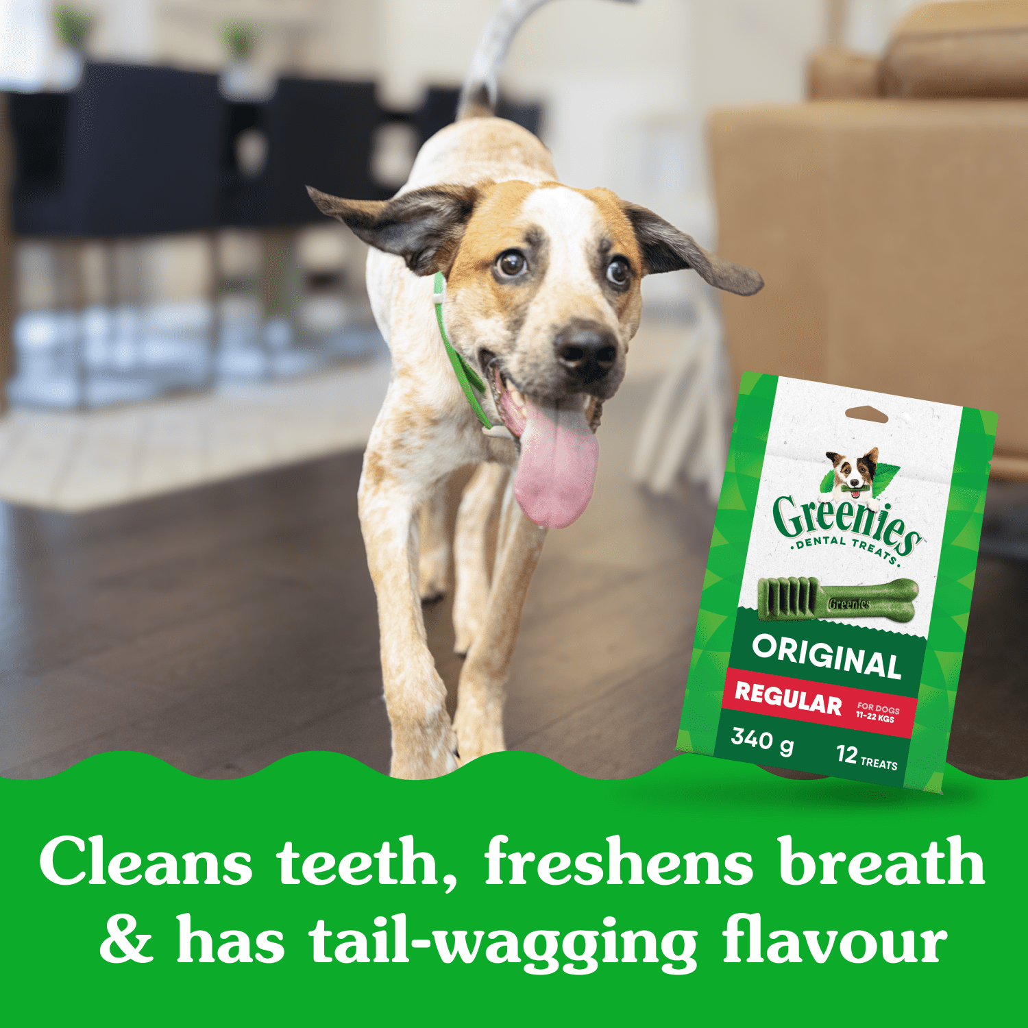 Gâteries dentaires naturelles pour chiens adultes GREENIES Original format MOYEN