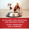 thumbnail image 2 of Purina ONE Plus+ Healthy Puppy Classic Ground Lamb & Long Grain Rice Entrée, Wet Puppy Food 368 g, 2 of 9