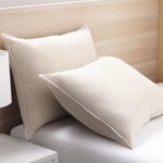 2pk Big Lion Zig Zag Pillows