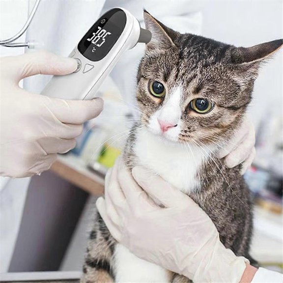 Thermomètre pour Oreilles de Chien et Chat, Thermomètres pour Animaux pour Chats, Mesure des Animaux, Électronique Sans Contact pour la Maison et la Clinique
