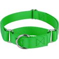 thumbnail image 1 of Collier pour Chien Country Brook Petz Martingale - Collier d'Entraînement Robuste Sans Boucle - Collier de Service pour Tous les Chiots - Collection Vibrante et Colorée (Vert Vif, 1 Po, Très Grand), 1 of 8