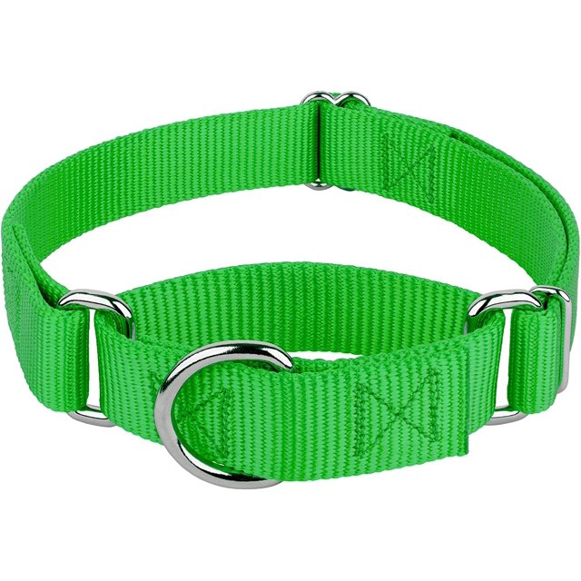 Collier pour Chien Country Brook Petz Martingale - Collier d'Entraînement Robuste Sans Boucle - Collier de Service pour Tous les Chiots - Collection Vibrante et Colorée (Vert Vif, 1 Po, Très Grand)