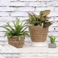 thumbnail image 3 of SUTENGDA 2 Pcs Petit Panier de Plantes Tressé en Herbe, 3 of 8