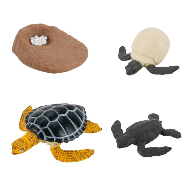 Plastic Animals Figures 4 Piece Insect Figure Animal Life Cycle Plastic Brood to Mature Period