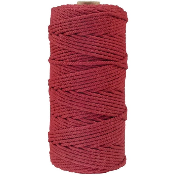 ZZkhGO Corde Macramé 3 mm, Corde Suspendue Bricolage 100 Mètres pour Artisanat, Fil à Tricoter et Tisser pour Décoration de Suspension Murale à la Maison