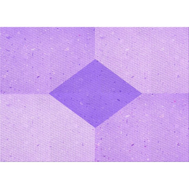 Ahgly Tapis Rectangulaire Lavable en Machine Intérieur Transitionnel Heliotrope Violet, 2 Pieds x 3 Pieds
