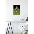 thumbnail image 4 of Famous Kitten Hang In There Poster Wall Poster, 22.375" x 34", 4 of 4