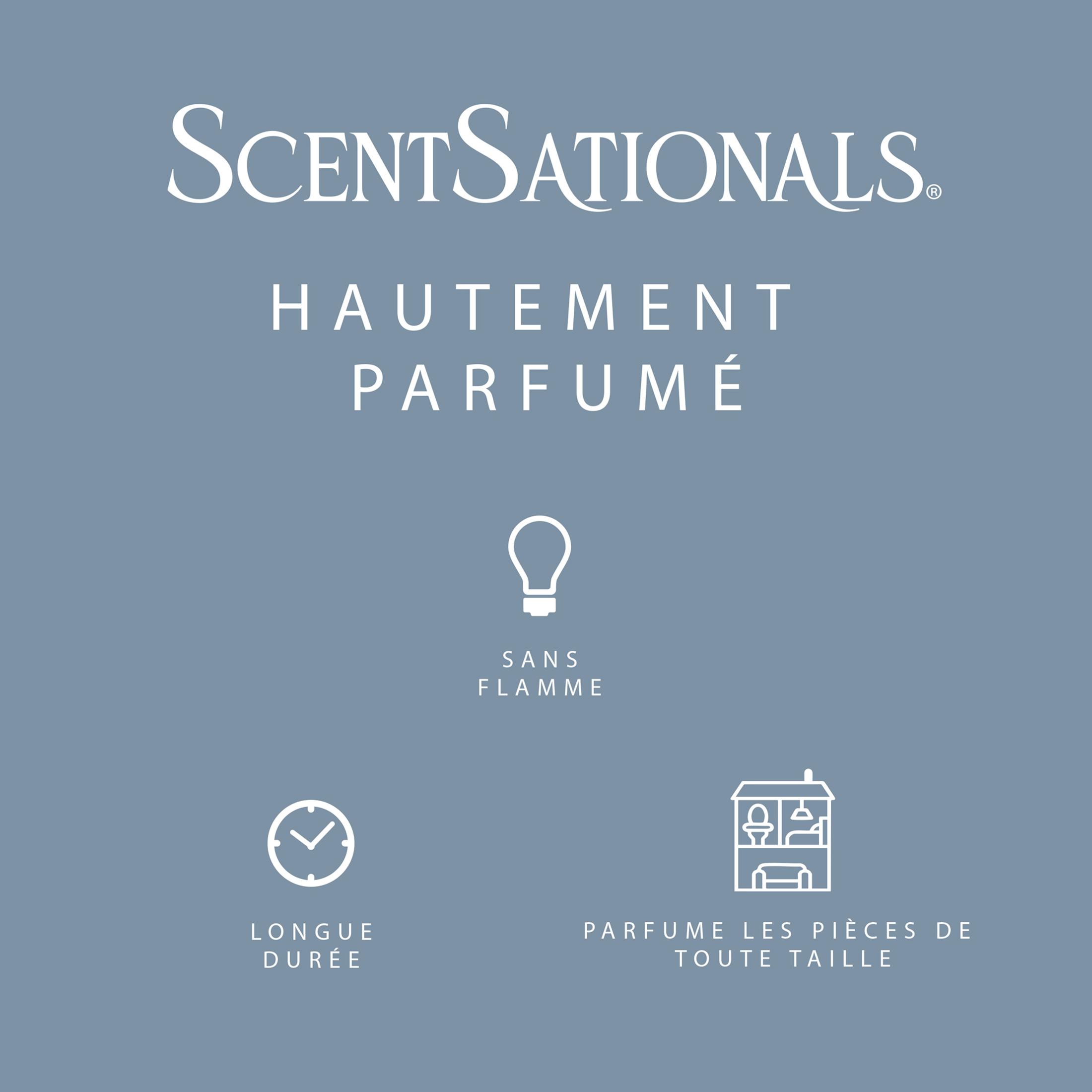 ScentSationals Scented Wax Cubes - Cinnamon Buns