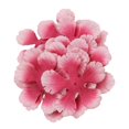 thumbnail image 1 of Abbracc Simulation Petals Pink and Red, 1 of 7
