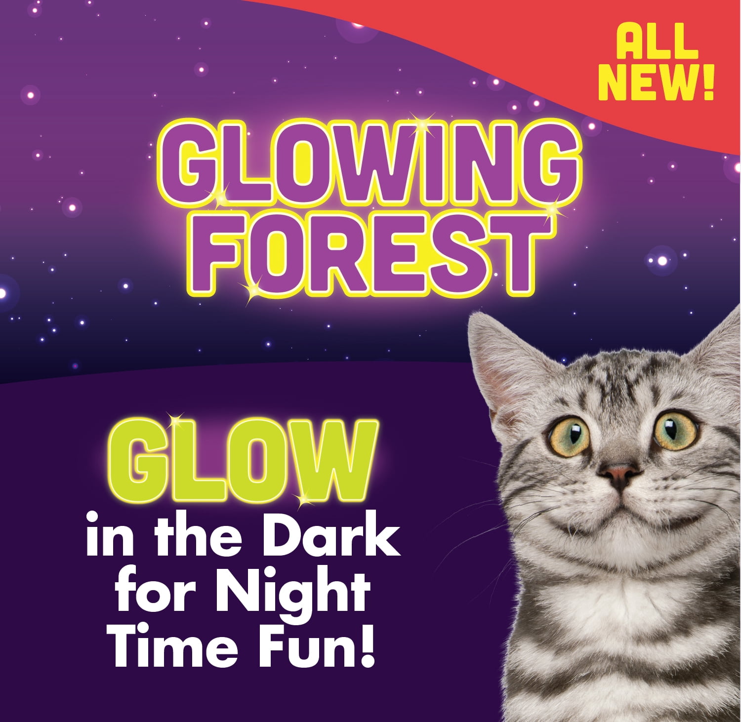Quirky Kitty Jouet pour Chat Insectes Lunaires de Forêt Lumineux Brille dans le Noir, 2pk