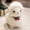 adorable small plush doll Under $5 a3, variant on Cagogo Wool Plush SheepToy, Super Soft Stuffed Animal Doll, Fluffy Lamb Plushie forKids, Cute PlushToyforChildren, Comforting Companion Gift forGirlsandBoys, Small Plush Doll