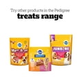 thumbnail image 4 of PEDIGREE Jumbone Adult Dog Treats – For Small & Medium Dogs - Beef Flavour – 2 Chews, 4 of 13