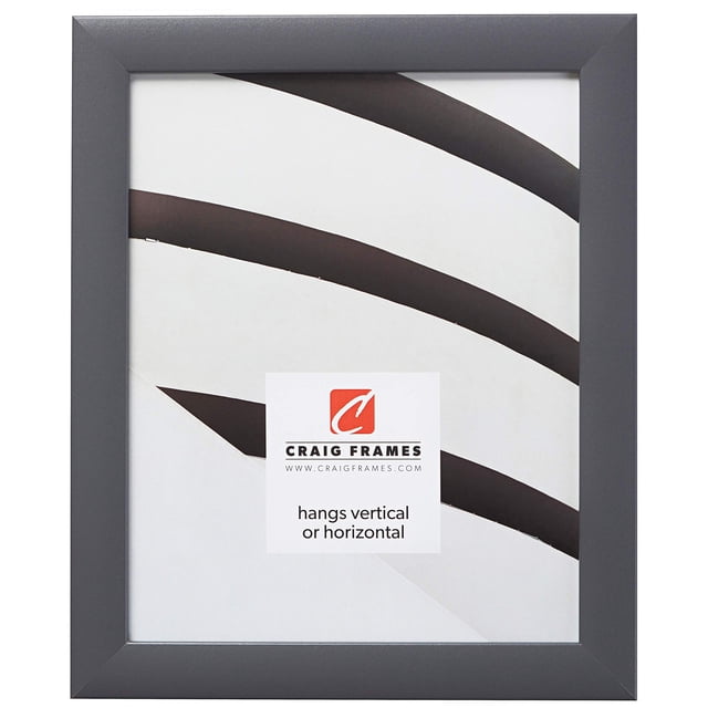 Craig Frames Cadre Photo Contemporain 12 x 18 Pouces Gris
