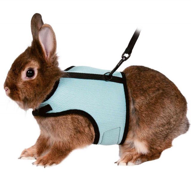 Decodeary Vest Type Collar Breathable Adjustable Pet Chest Strap Harness Leash Blue M