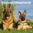 thumbnail image 1 of BrownTrout German Shepherds 2024 12x24 Inch Square Wall Calendar, 9781975462833, 1 of 8