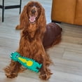 thumbnail image 2 of Outward Hound Latex-Free Big Squeak Turquoise Dino Dog Toy, 2 of 7